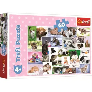 Trefl | Puzzle 60 ks Kočičí svět