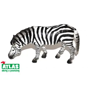 Atlas C Zebra 11 cm
