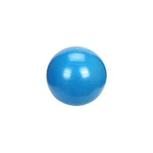 Produkt Athletic24 Gymnastický míč PLATINIUM Classic 65 modrý