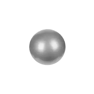 Produkt Athletic24 Gymnastický míč PLATINIUM Classic 65 stříbrný