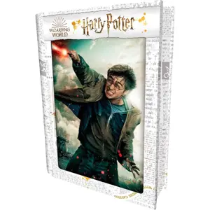 3D PUZZLE Harry Potter-Harry Potter 300ks, W019133